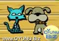 Cat dog
2 play games