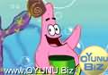 sea ​​shell
gather play games